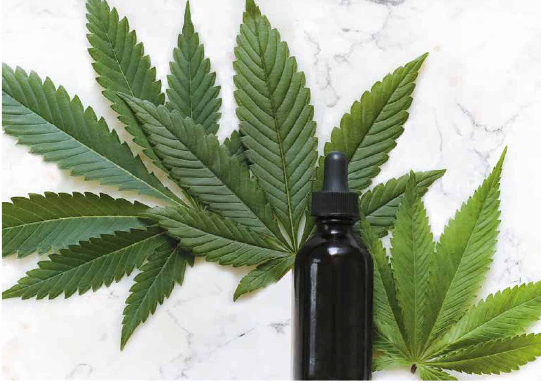 Cannabis Vape Liquid Containers - Cannabis Packaging - Health and Beauty -  Industry Catalog